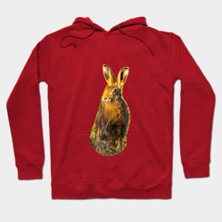 Hare i am Hoodie